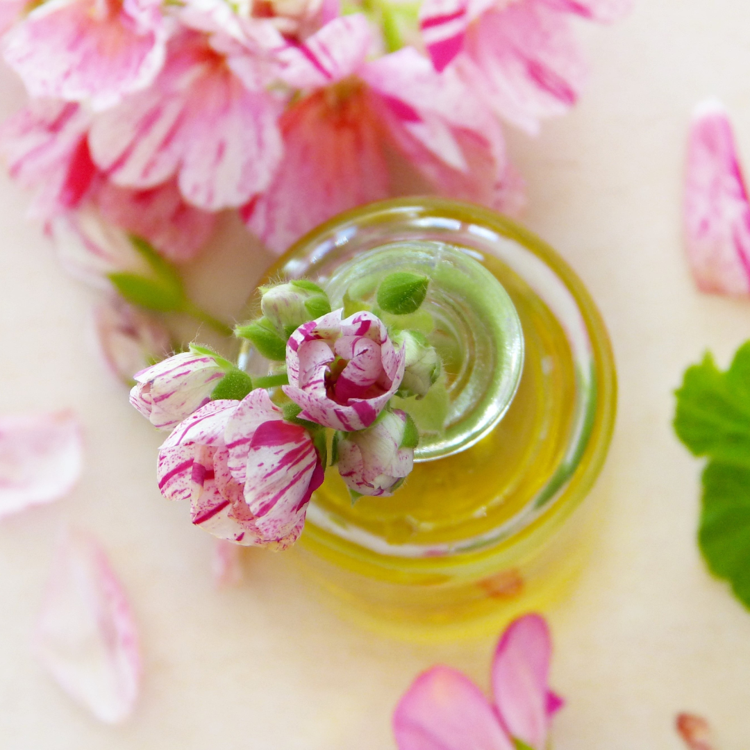 Selection of botanical carrier oils for skincare and aromatherapy