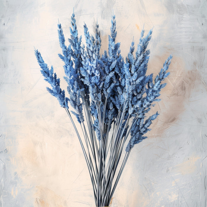 Bio African Bluegrass Essential Oil (Cymbopogon Validus)
