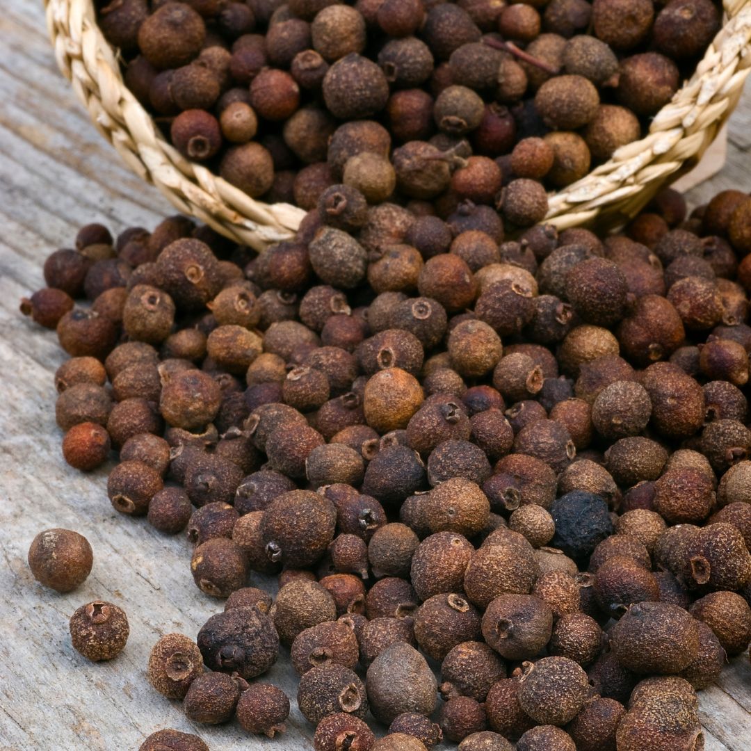 Botanica Gaia Bio Allspice Essential Oil | Pimenta officinalis | For Aromatherapy, Skin Care and Perfume