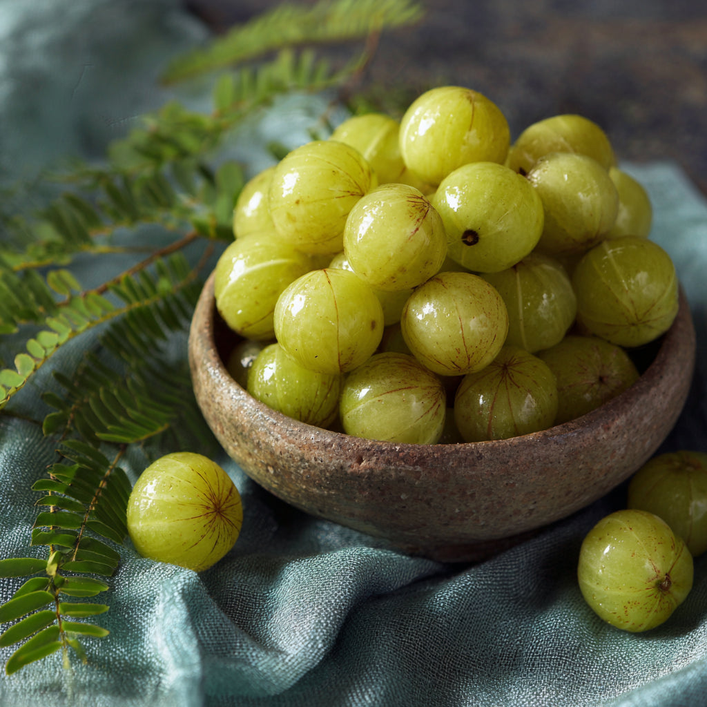 Bio Amla Carrier Oil | Phyllanthus Emblica | Cold Pressed - Unrefined