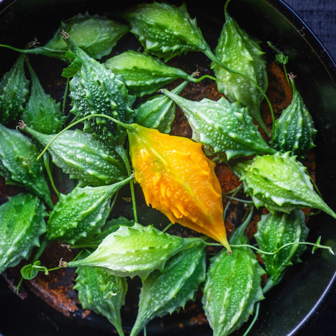 Bio Bitter Gourd Seed Carrier Oil (Momordica charantia)