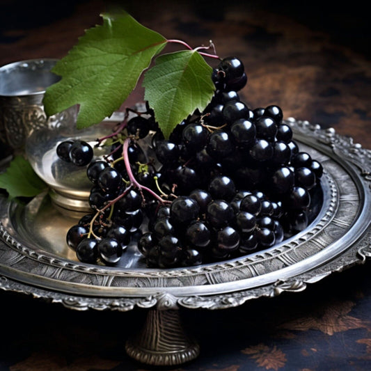 Black Currant Essential Oil – product image 2