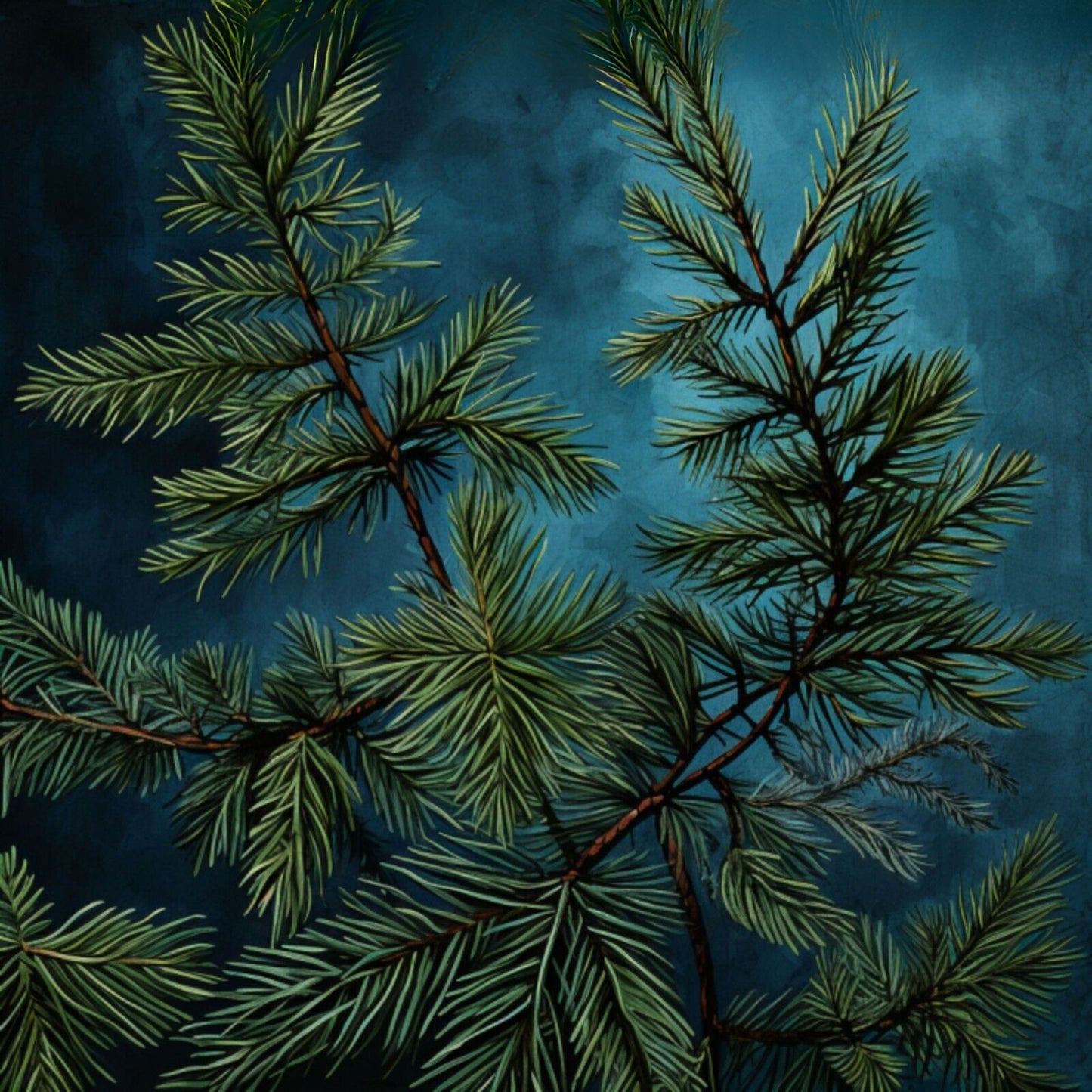Wildcrafted Black Hemlock Essential Oil