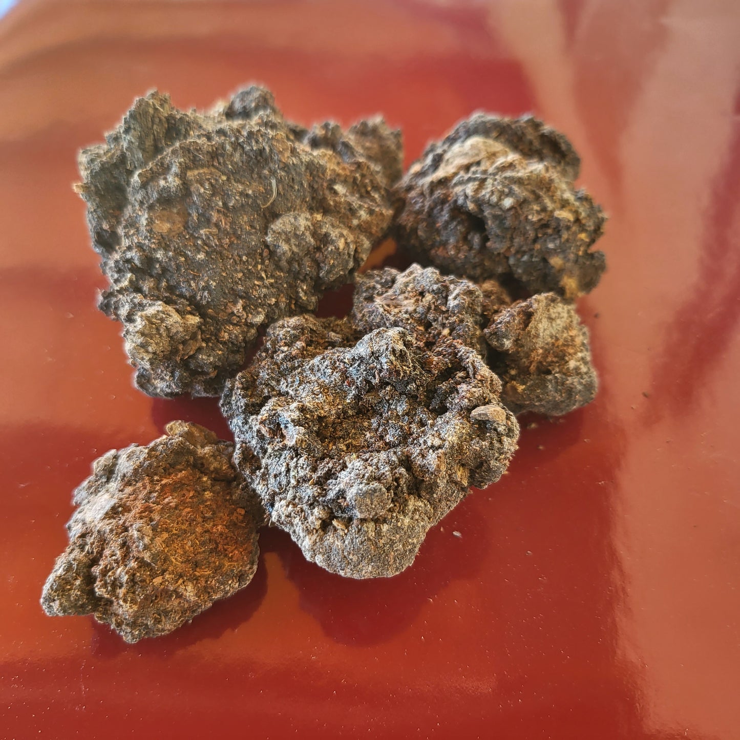 Botanica Gaia Wild Crafted Black Mastic Resin | Pistacia Aethiopica | For Perfume, Incense and Skincare