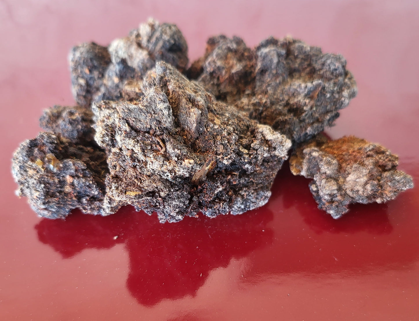 Botanica Gaia Wild Crafted Black Mastic Resin | Pistacia Aethiopica | For Perfume, Incense and Skincare