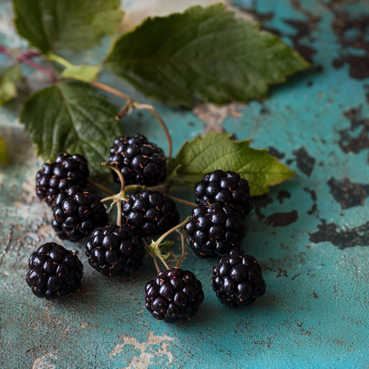 Botanica Gaia Bio Blackberry Seed CO2 Carrier Oil – product image 2