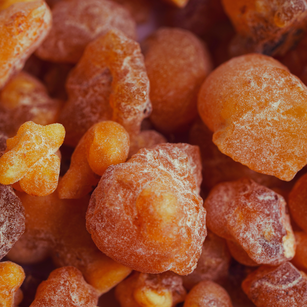 Red Frankincense Sacra Essential Oil (Boswellia Sacra)