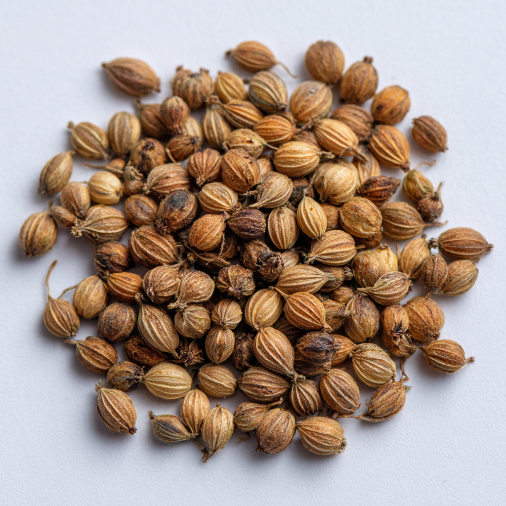 Botanica Gaia Bio Coriander Seed CO₂ Absolute | Supercritical CO2 Extraction | Coriandrum Sativum | Premium Quality | For Aromatherapy, Skincare and Perfume