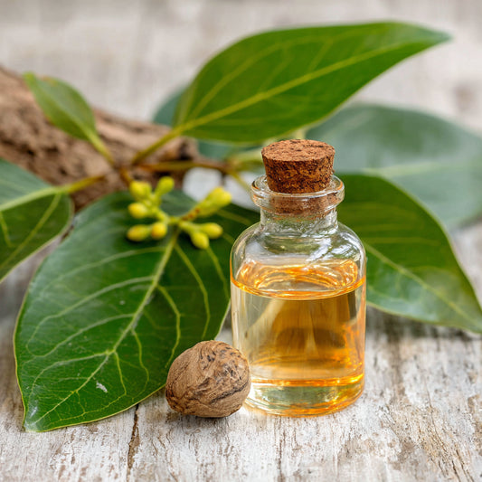 Botanica Gaia Wildcrafted Elemi Essential Oil | Canarium Luzonicum | Sacred Resin of Clarity, Balance & Skin Renewal