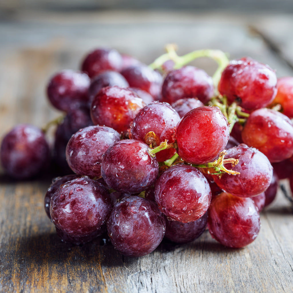 Grape Skin CO₂ Extract (Vitis vinifera L)