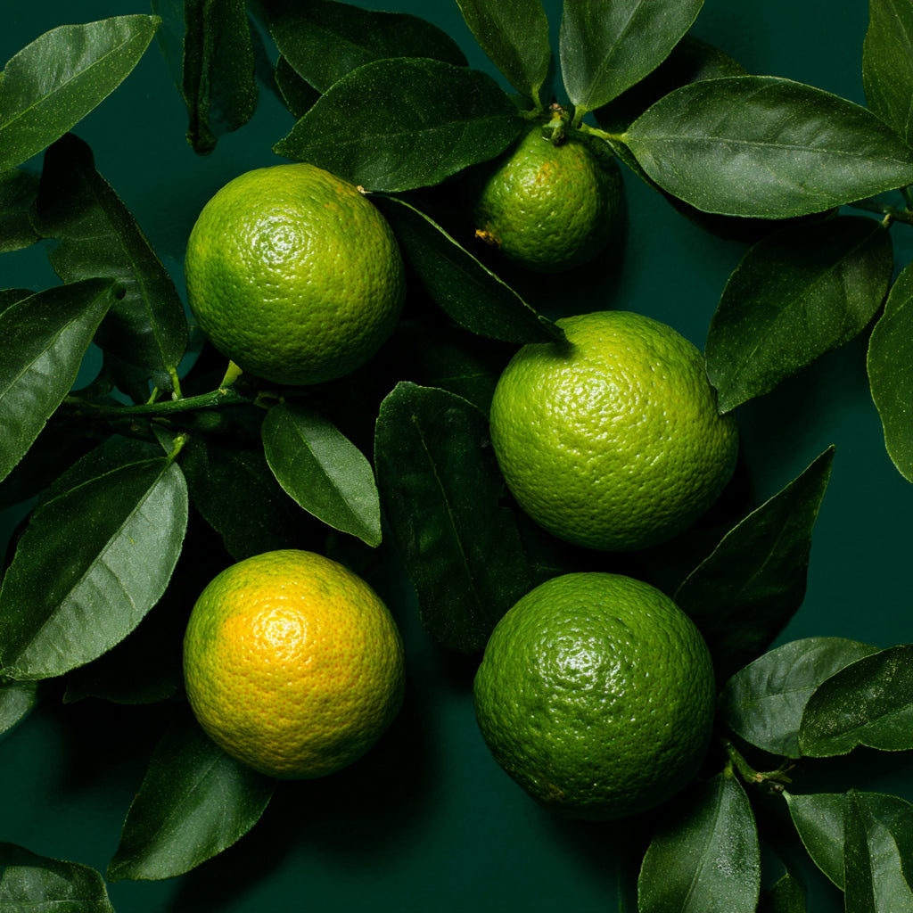 Botanica Gaia 100% Organic and Pure Green Orange Essential Oil | Citrus reticulata × sinensis |