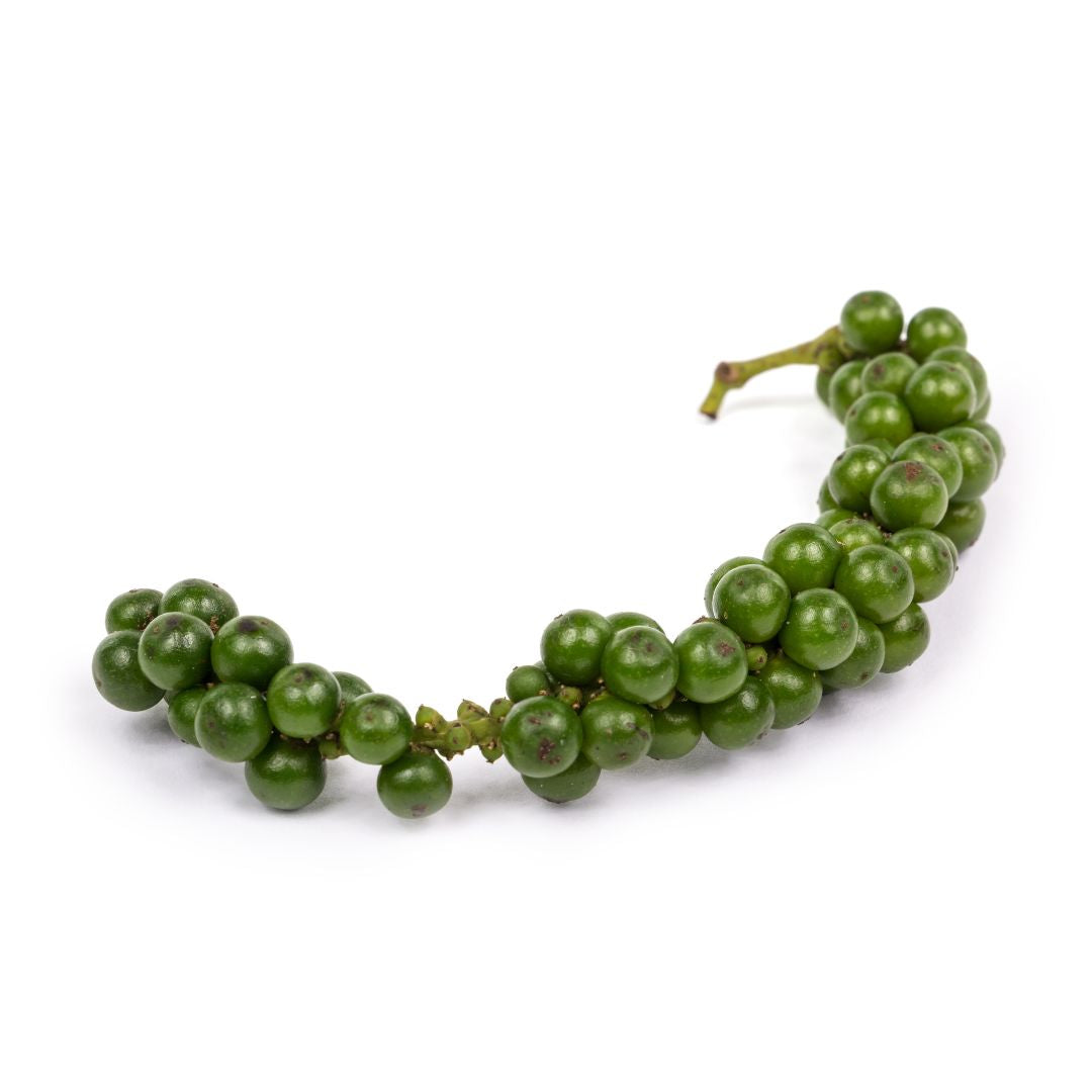 Botanica Gaia Green Pepper CO₂ Absolute | Supercritical CO2 Extraction | Piper Nigrum | For Perfume, Skincare and Aromatherapy