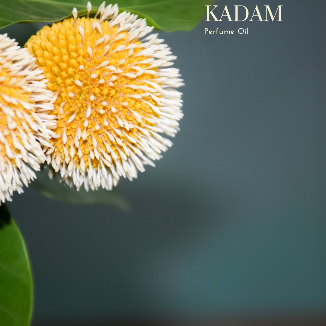 Botanica Gaia Kadam Perfume Oil | Soliflore | Natural and Organic | Handmade | With tropical fruit notes |