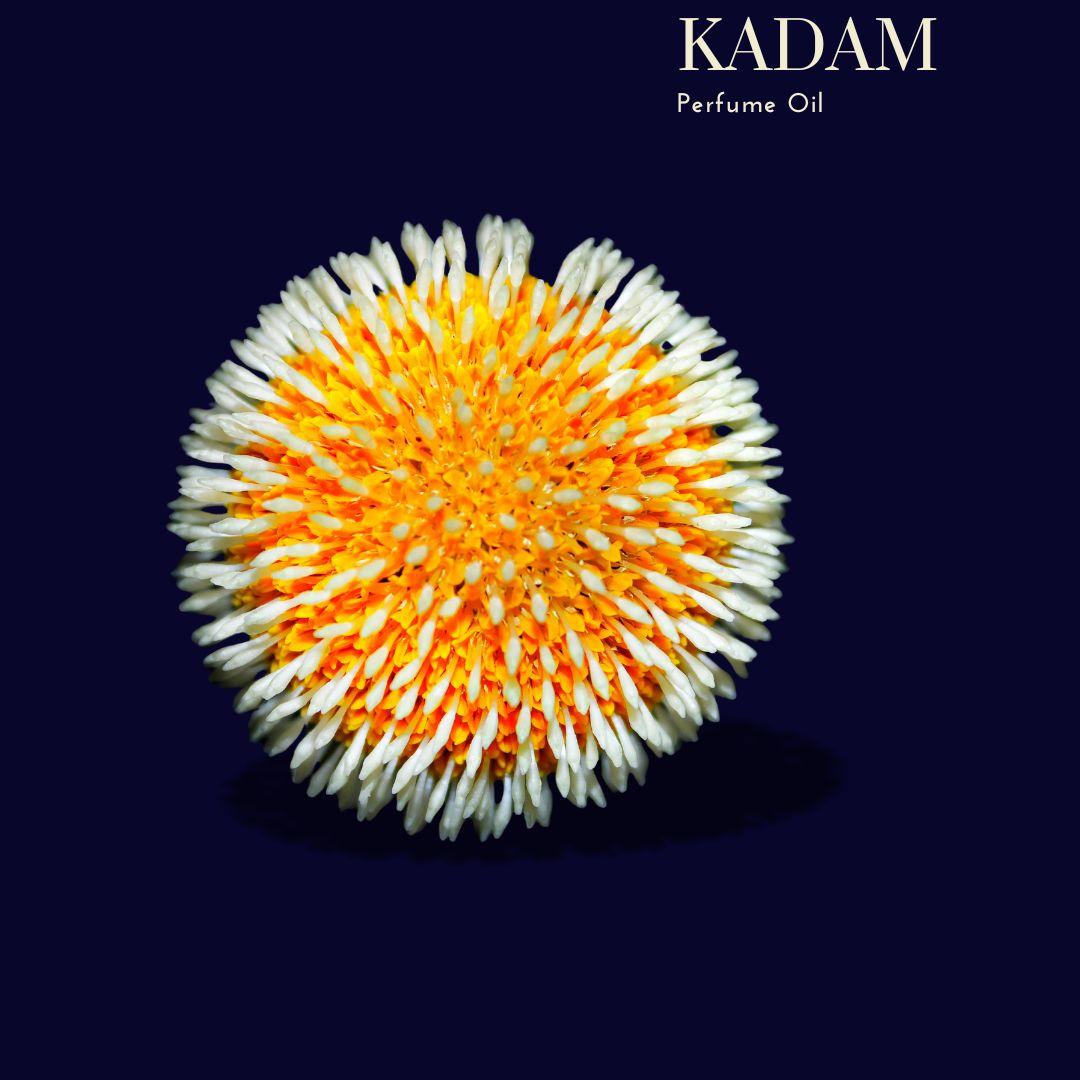 Botanica Gaia Kadam Perfume Oil | Soliflore | Natural and Organic | Handmade | With tropical fruit notes |