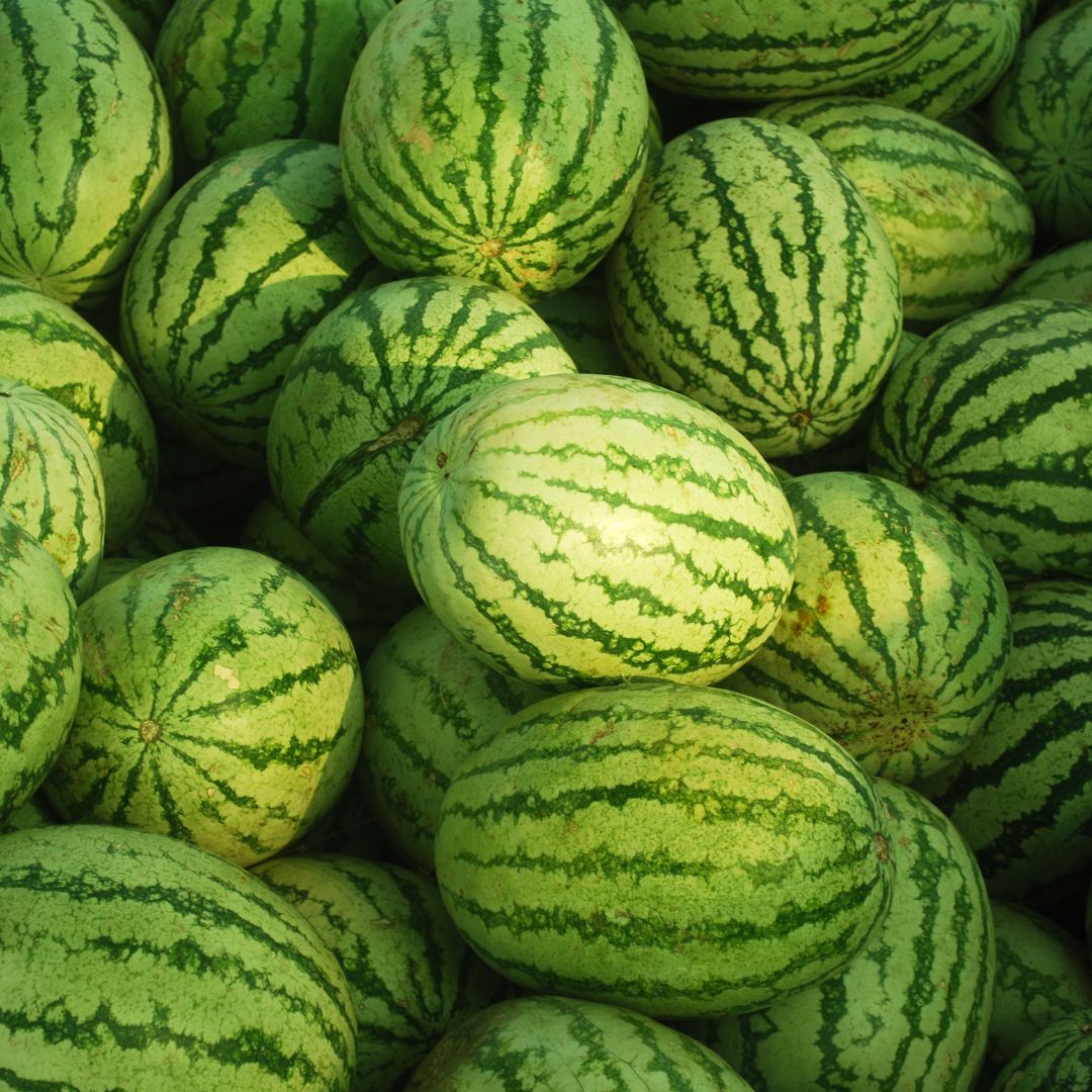 Bio Kalahary Melon Seed Carrier Oil (Citrullus lanatus var. citroides)