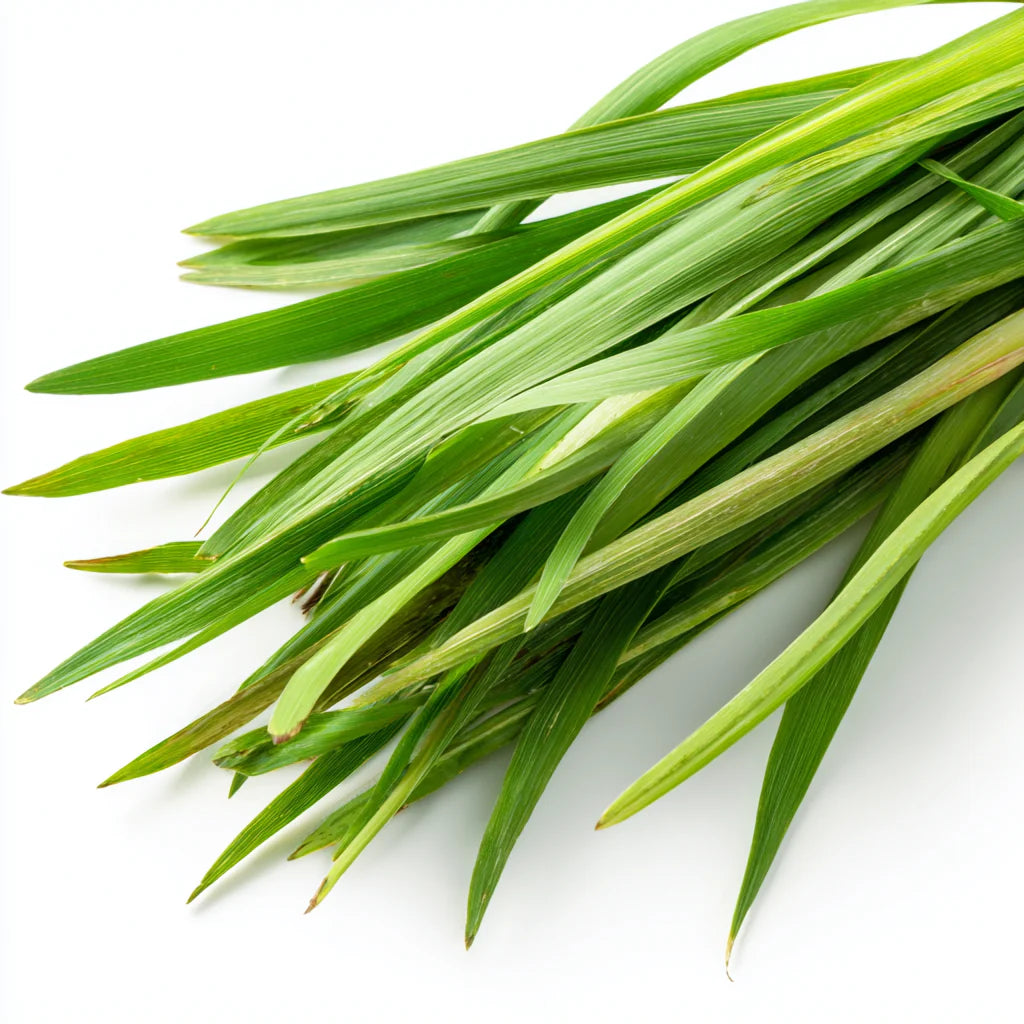 Lemongrass Leaf Wax CO₂ Extract