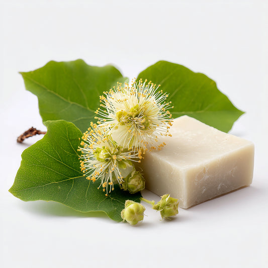 Linden Blossom Wax CO₂ Extract (Tilia cordata) – product image 2