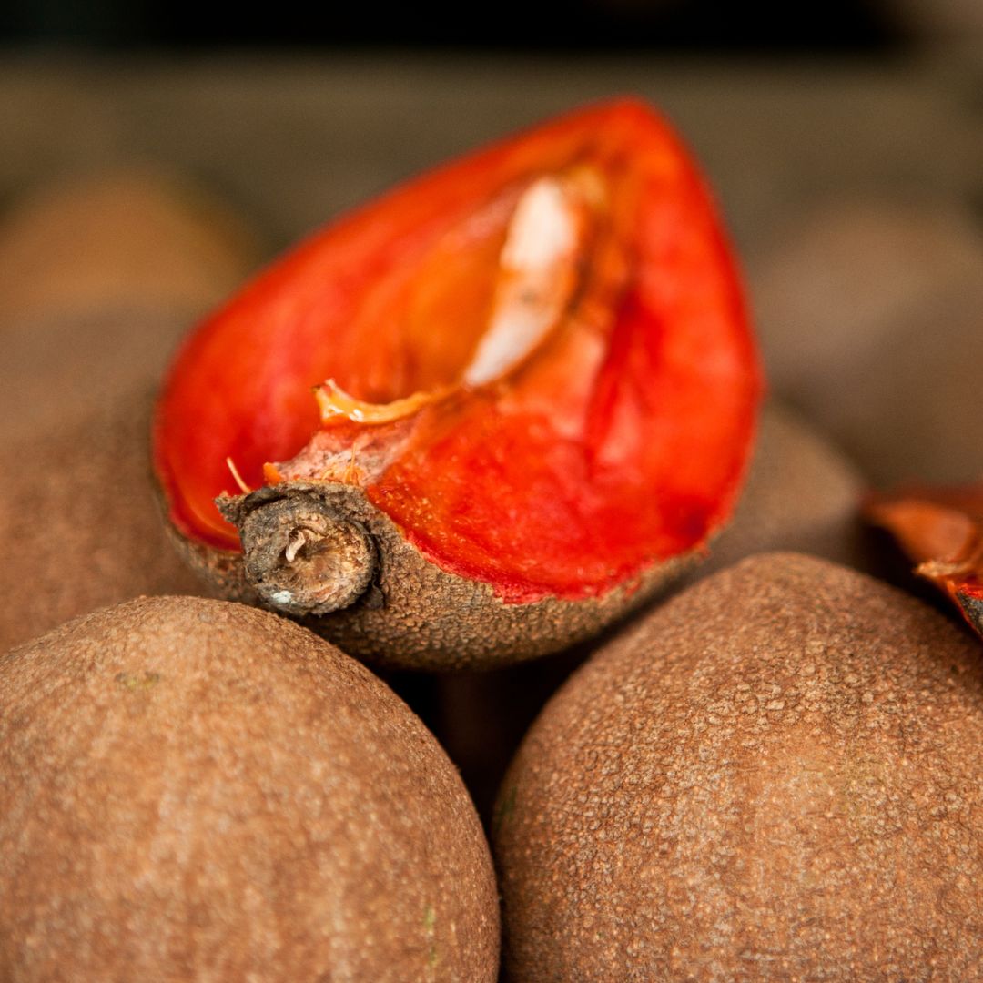 Bio Mamey Seed Oil (Pouteria Sapota)