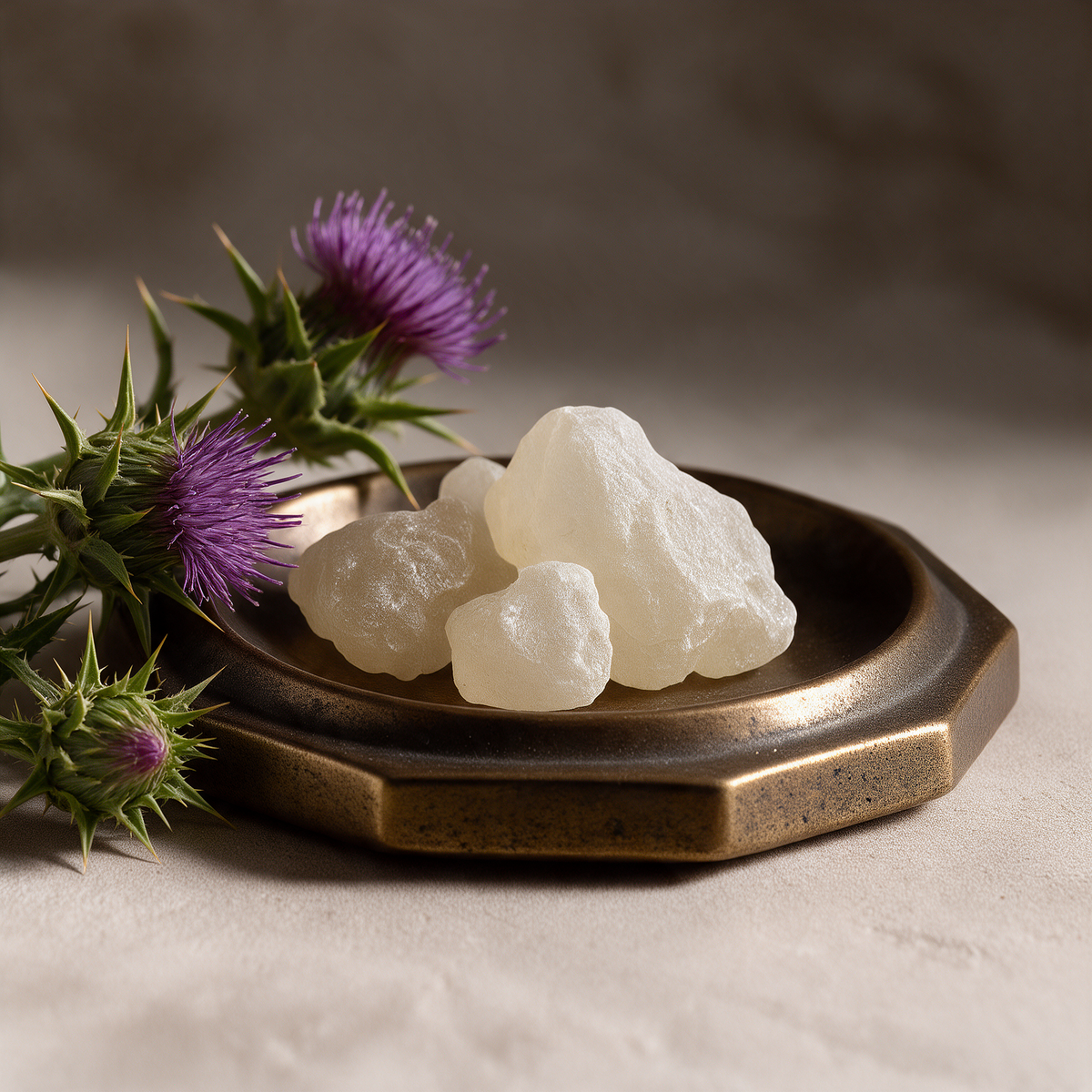 Milk Thistle Seed Oil + White Copal | For Skincare and Haircare