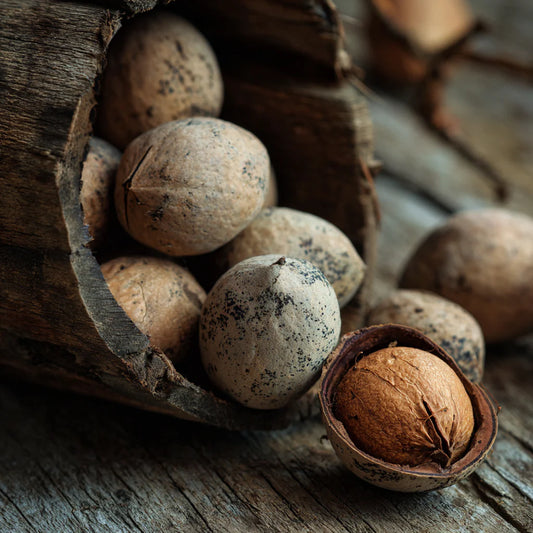 Mongongo Carrier Oil (Schinziophyton rautanenii) – product image 2