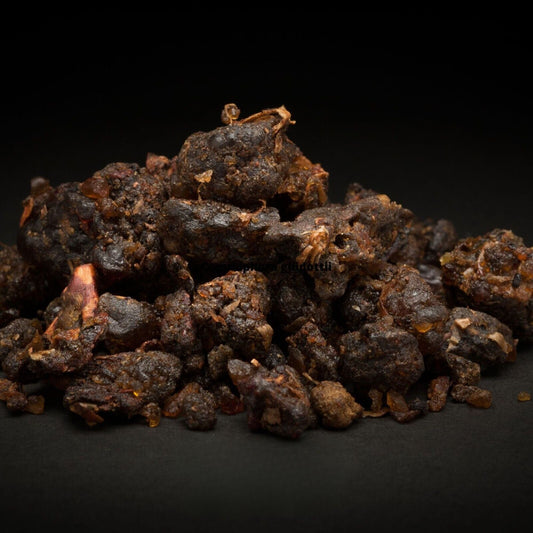 Wildcrafted Opoponax Myrrh Absolute – product image 2