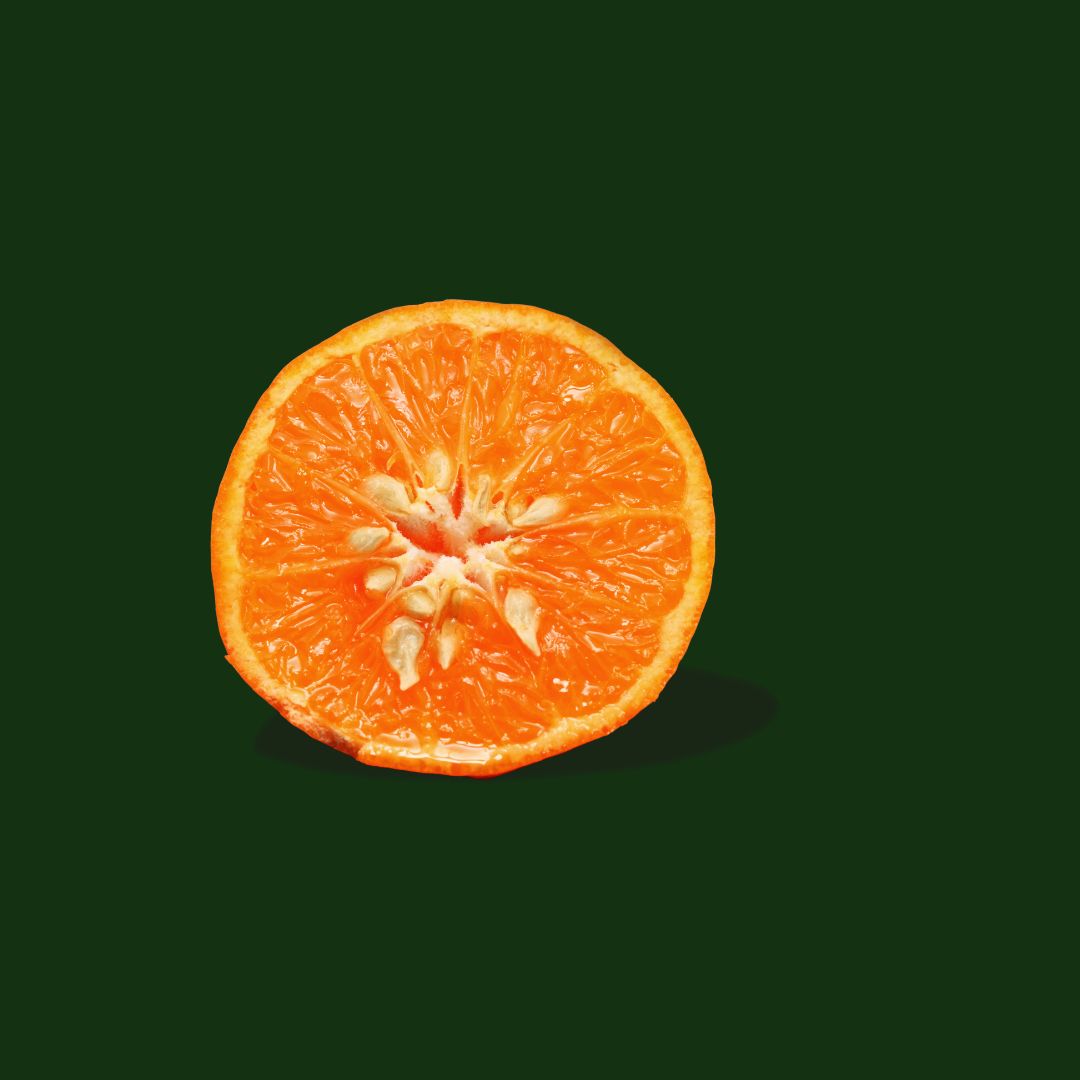 Botanica Gaia 100% Bio Sweet Orange Seed CO2 Oil | Citrus Sinensis | Carrier Oil for Skincare and Haircare