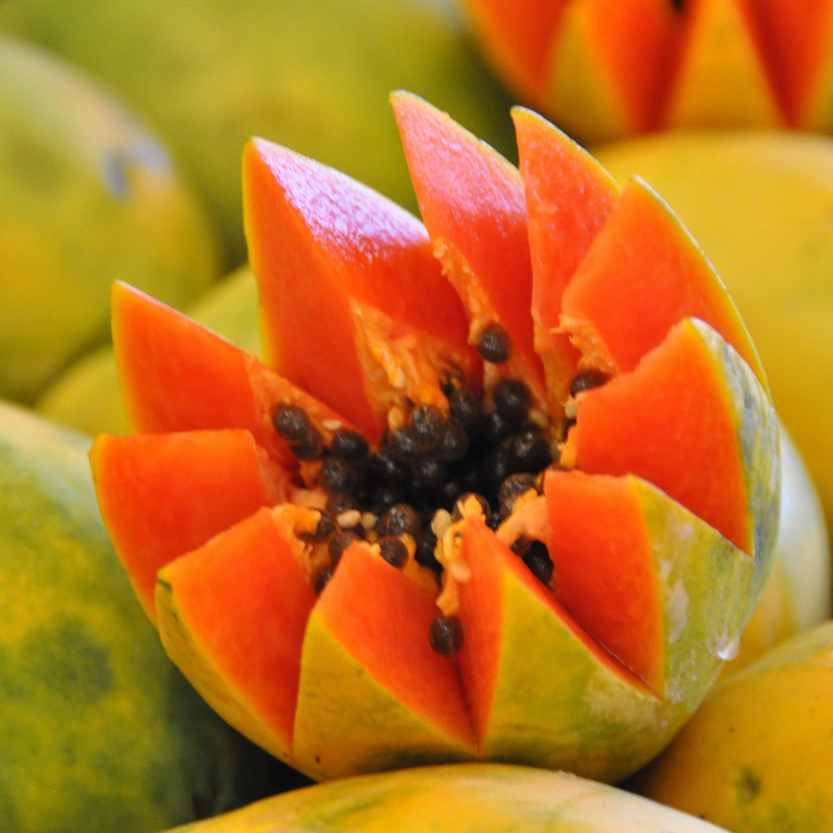 Bio Papaya Seed Carrier Oil