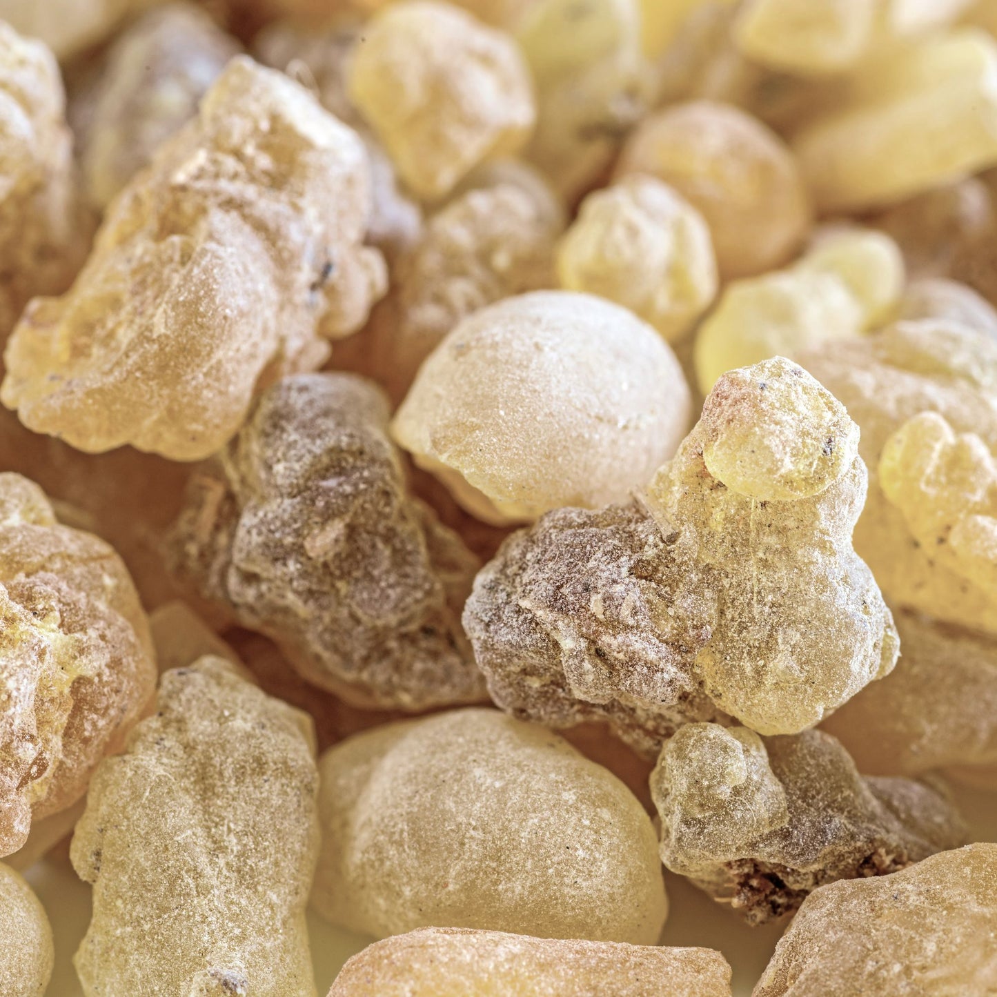 Botanica Gaia Wild Crafted Frankincense Papyrifera Resin | Boswellia Papyrifera | For Perfume, Incense and Skincare