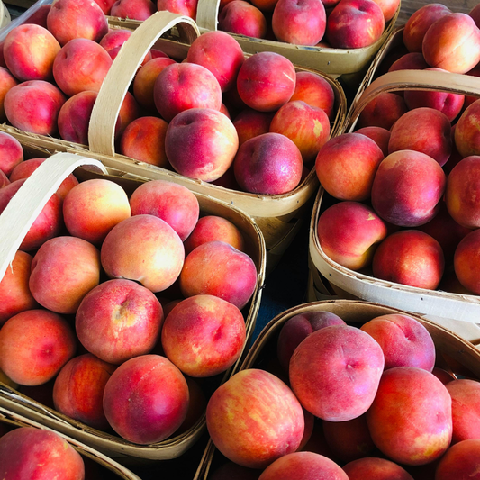 Bio Peach Kernel Carrier Oil – product image 2