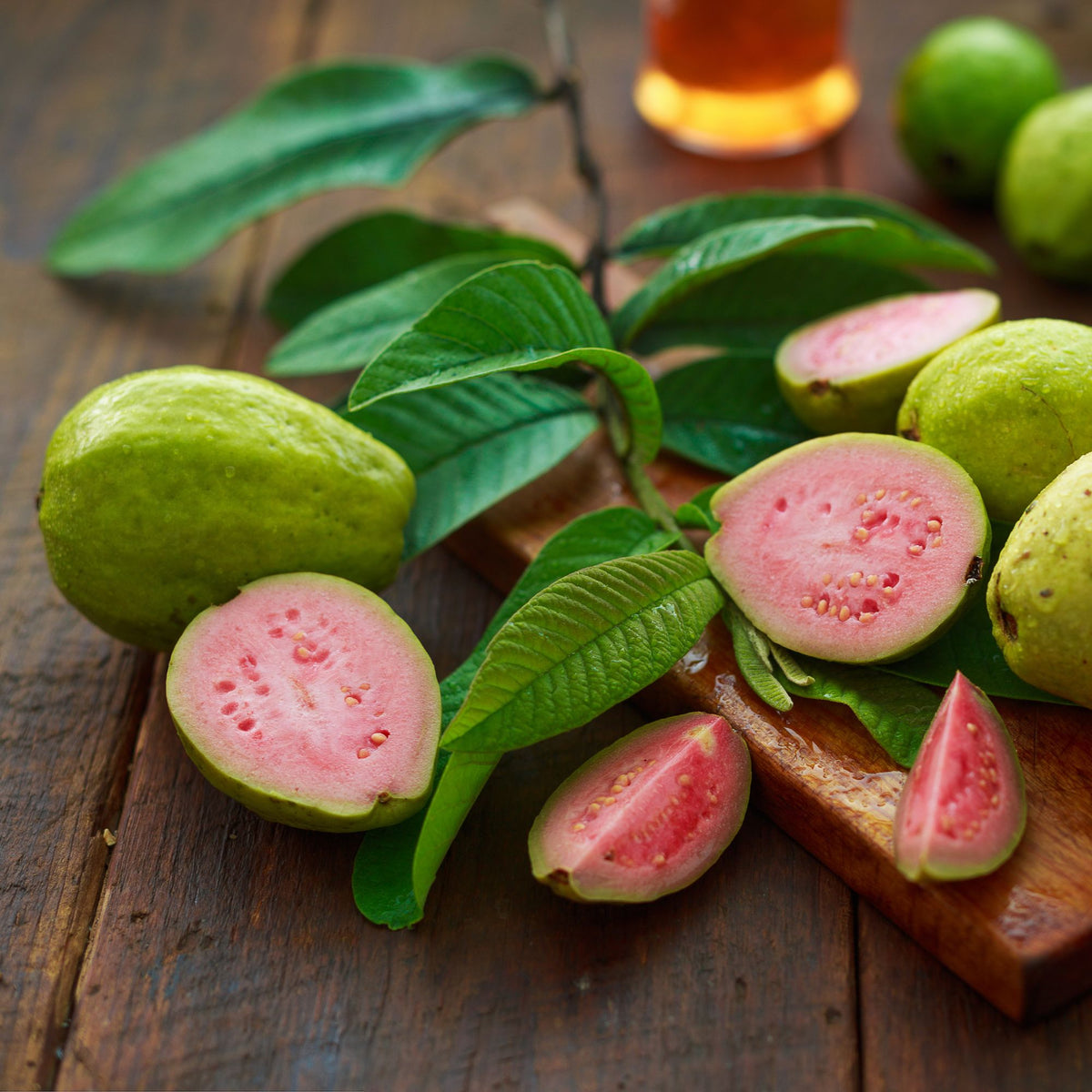 Botanica Gaia 100% Organic and Pure Pink Guava Leaf Essential Oil Psidium guajava