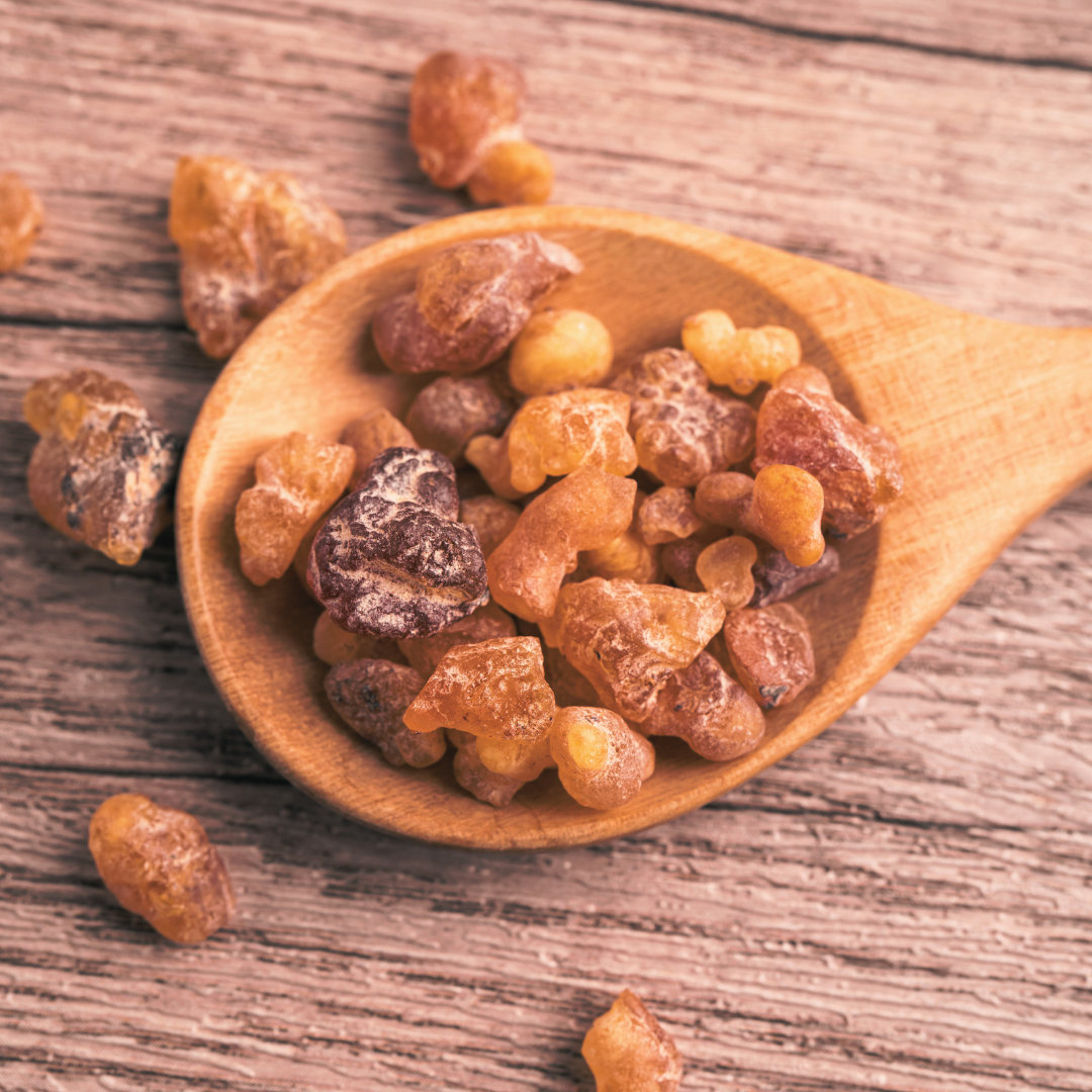 Wildcrafted Red Frankincense Sacra CO2 Extract (Boswellia Sacra)