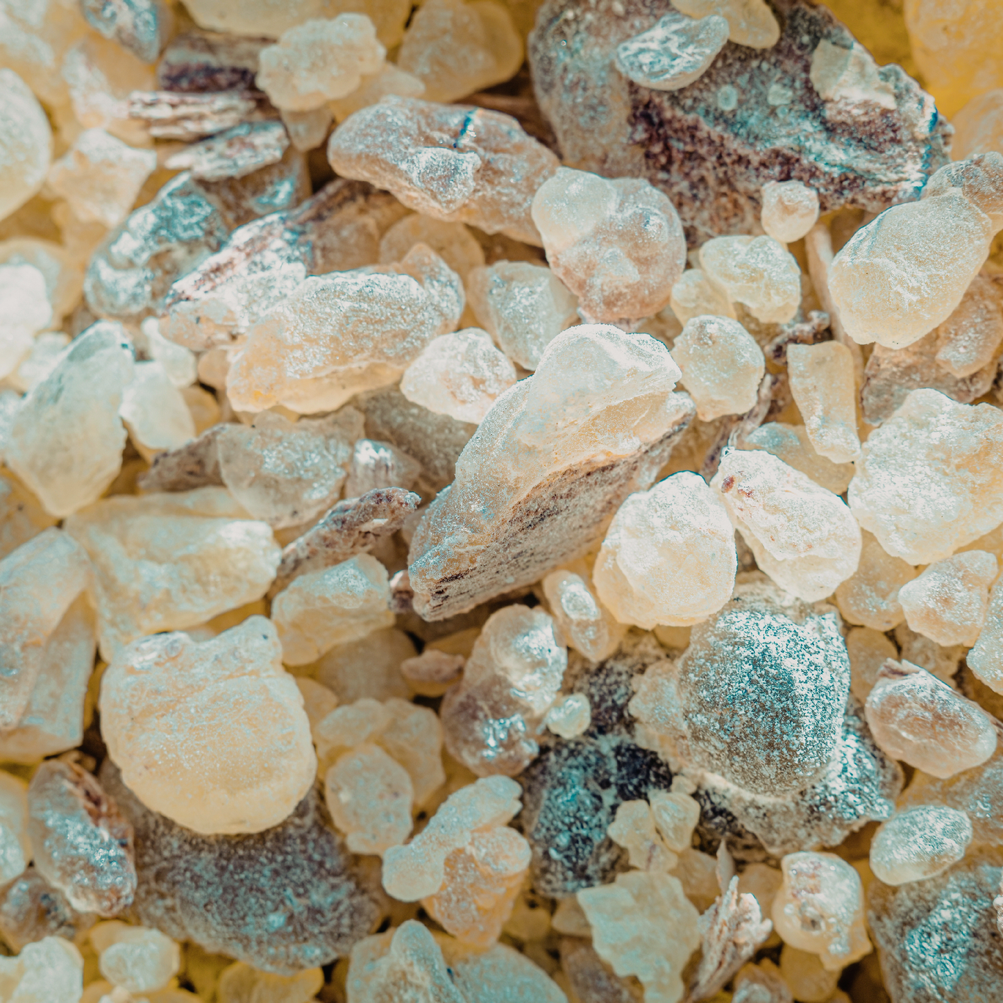 Wildcrafted Frankincense Sacra Absolute | Boswellia Sacra | For Incense, Aromatherapy, Perfume and Skincare