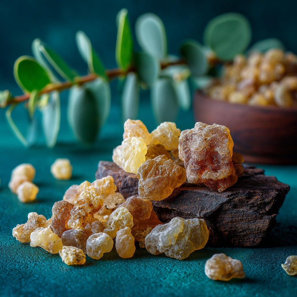 Botanica Gaia Wilcrafted Frankincense Serrata Macerated in Moringa Seed Oil | Boswellia Serrata and Moringa Oleifera | Premium Quality |