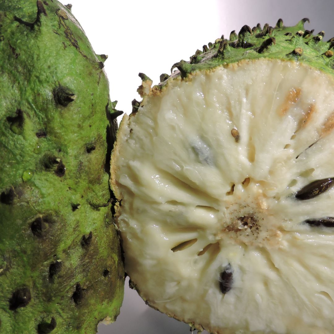 Botanica Gaia Bio Soursop Seed Carrier Oil | Annona Muricata | For Skincare and Haircare
