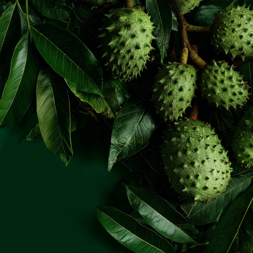 Naked Vitality - Unscented Whipped Tallow Cream with Soursop Seed Oil