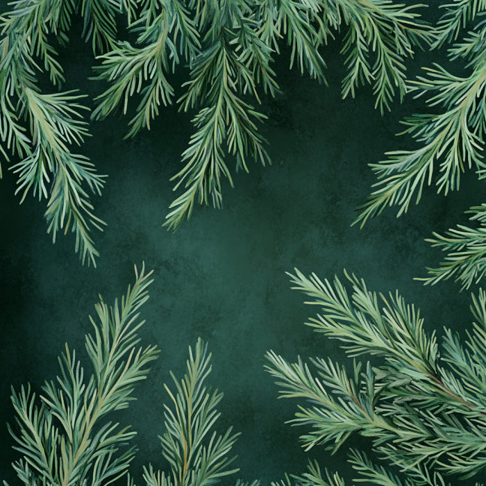 Cypress CO2 Extract – product image 3