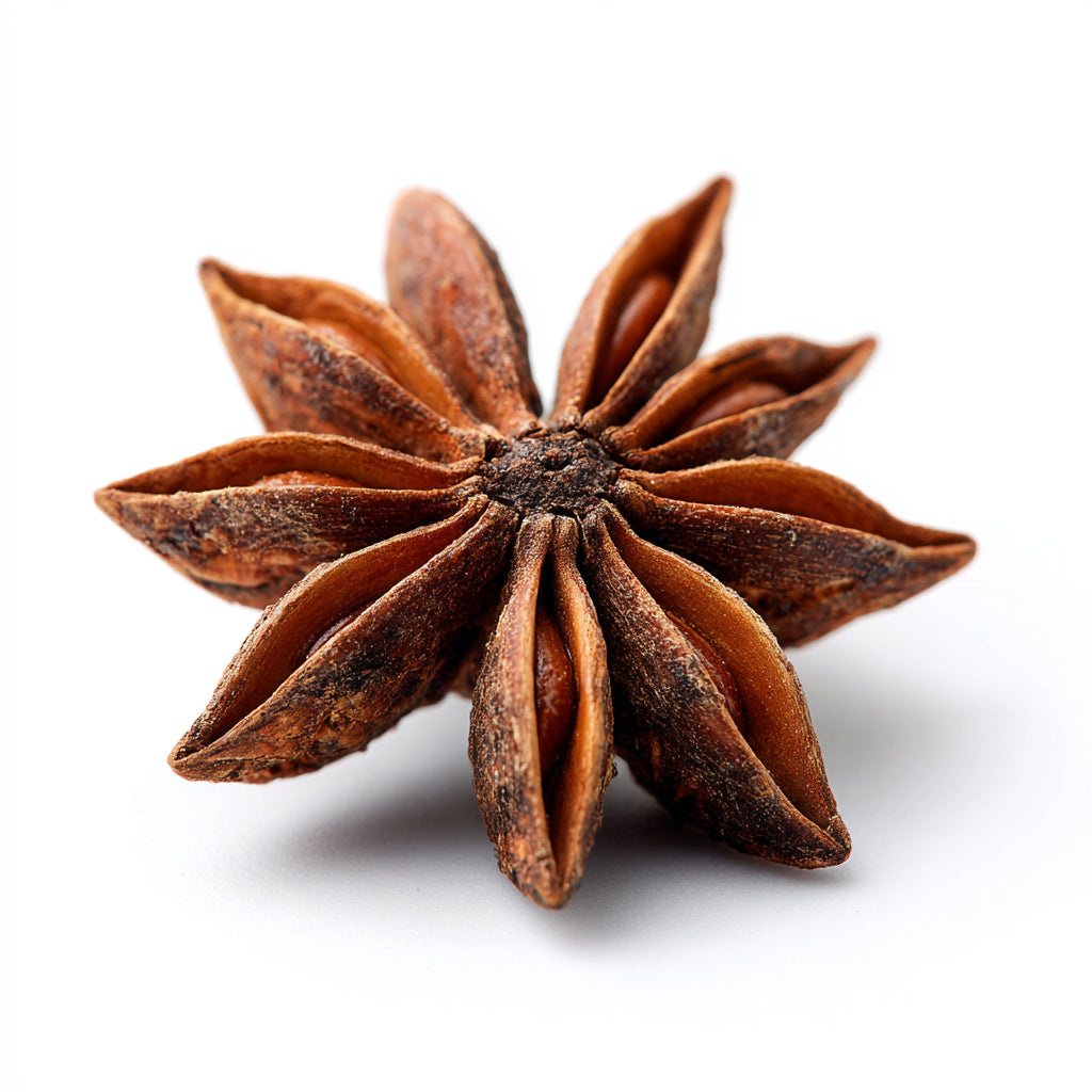 Star Anise Seed Wax CO₂ Extract (Illicium verum)