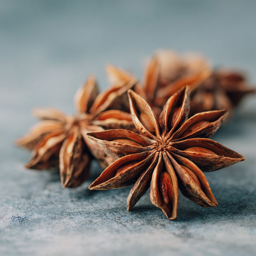 Botanica Gaia Organic Star Anise Essential Oil | Illicium Verum | For Aromatherapy, Incense and Skin Care