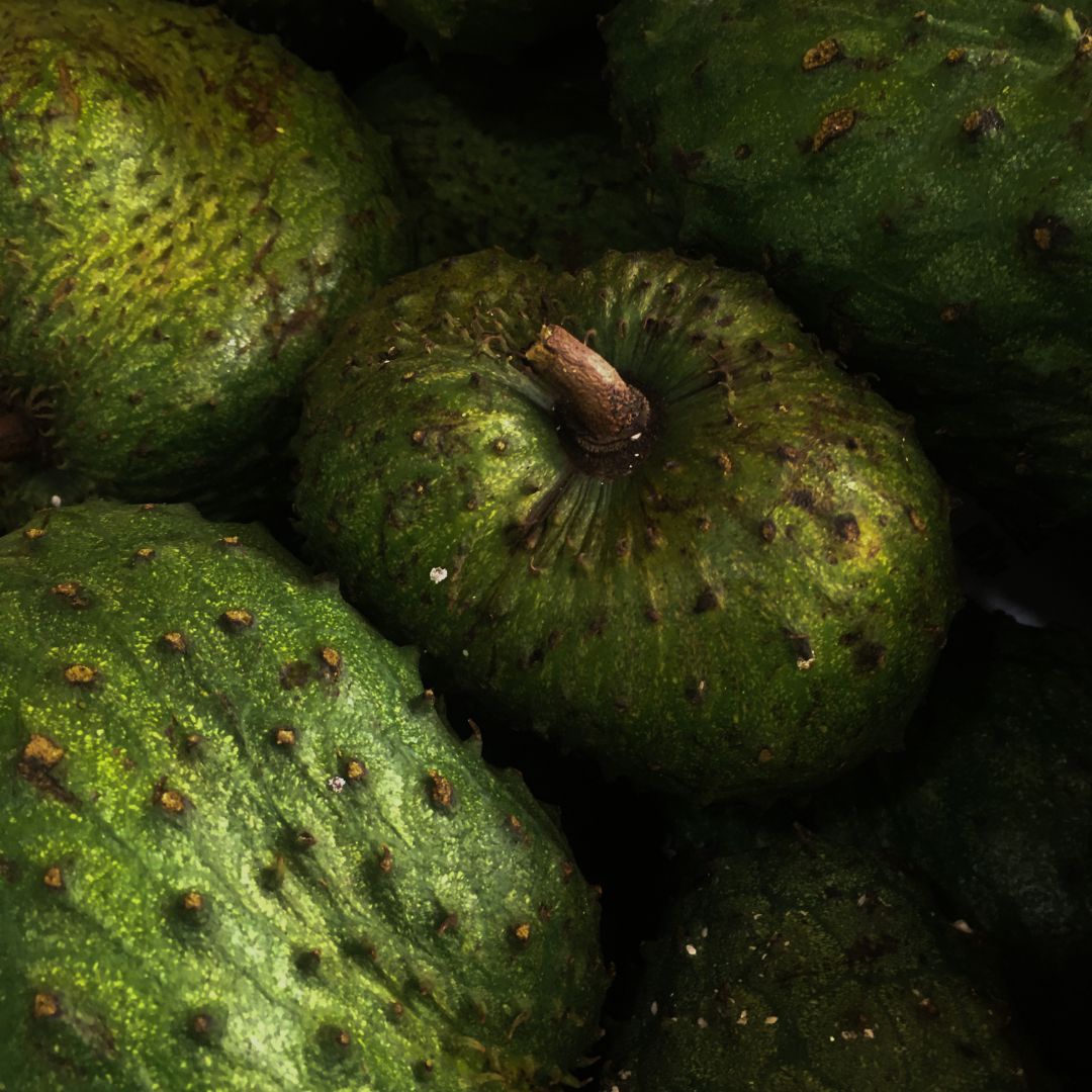 Botanica Gaia Bio Soursop Seed Carrier Oil