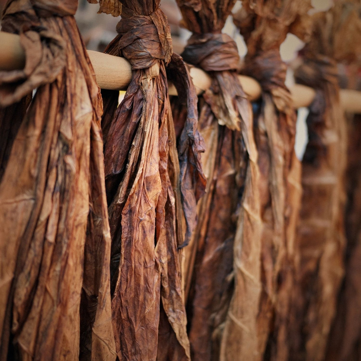 Bio Tobacco Leaf Absolute – product image 2