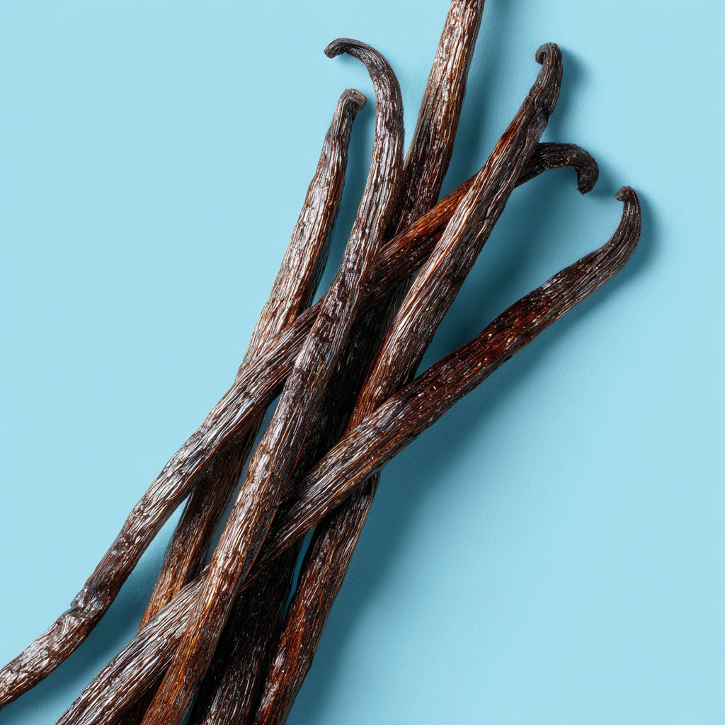 Botanica Gaia 100% Organic and Pure Vanilla Absolute Oil | Vanilla Planifolia