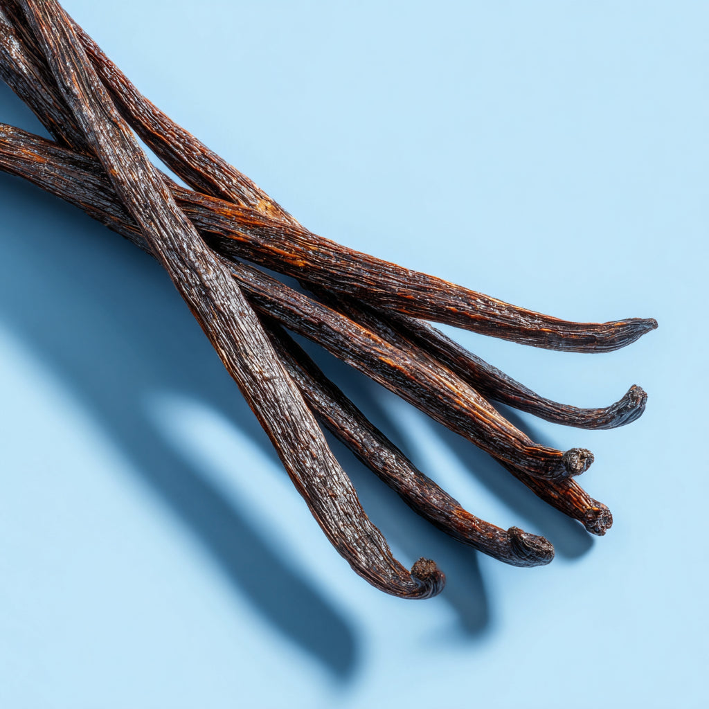 Botanica Gaia 100% Organic and Pure Vanilla Absolute Oil | Vanilla Planifolia