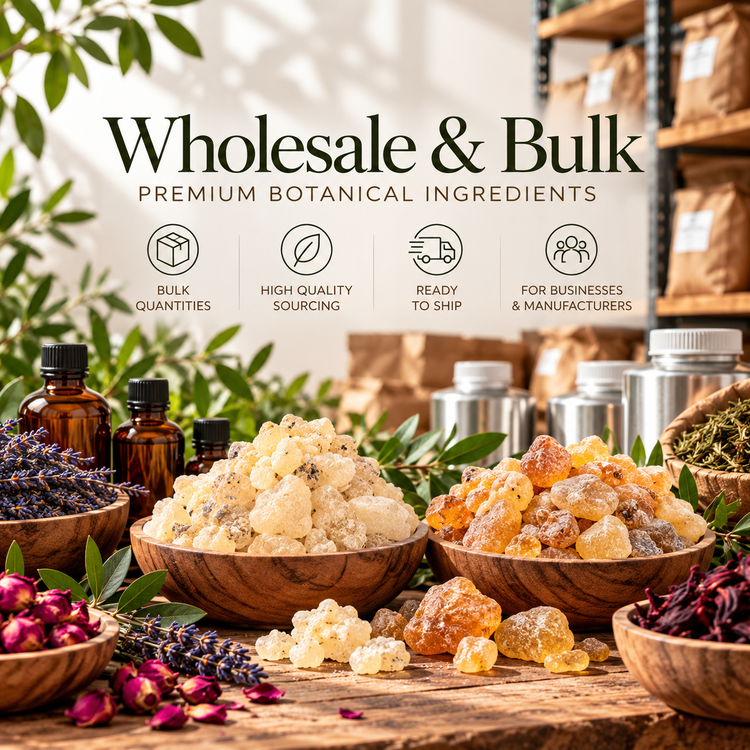 Wholesale & Bulk