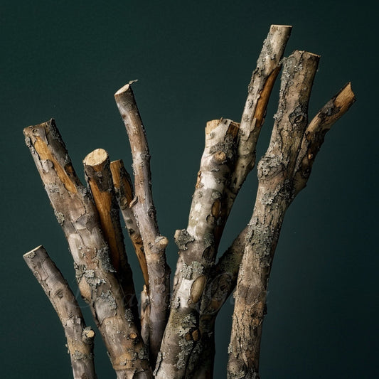 Wildcrafted African Sandalwood – product image 2