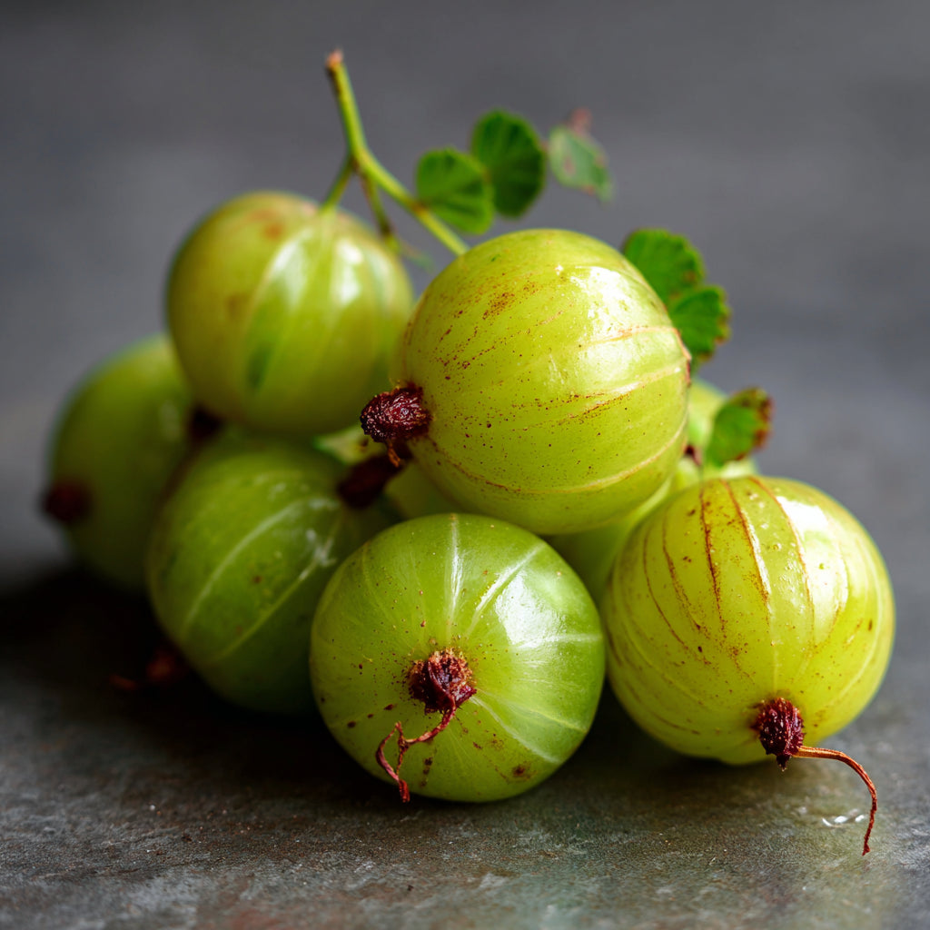 Bio Amla Carrier Oil | Phyllanthus Emblica | Cold Pressed - Unrefined