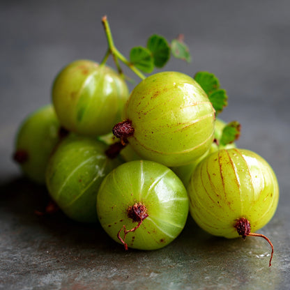 Bio Amla Carrier Oil | Phyllanthus Emblica | Cold Pressed - Unrefined