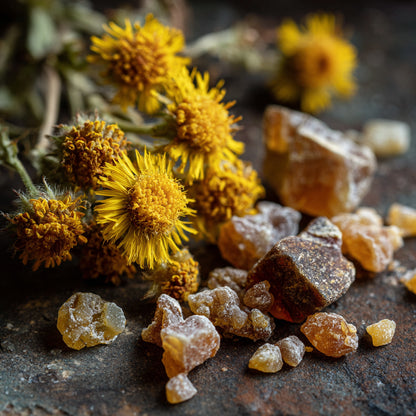 Jojoba Seed Oil Infused with Boswellia Dalzielii Resin & Arnica | Ideal for massage, skincare, aromatherapy, and natural perfumery, this golden elixir restores harmony, relieves tension, and enhances the natural vitality of the skin.