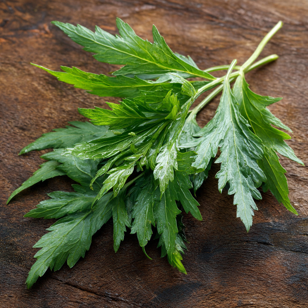 Botanica Gaia Bio Sweet Mugwort Essential Oil | Artemisia Annua | For Aromatherapy and Skincare