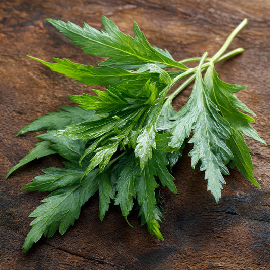 Botanica Gaia Bio Sweet Mugwort Essential Oil – product image 2