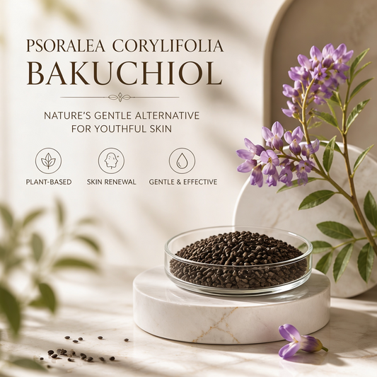 Bakuchiol 99% CO2 Select Extract | Psoralea Corylifolia Linn